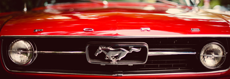blog-mustang